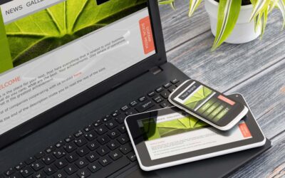 6 Ways to Become a Top Cannabis Seed E-Commerce Store