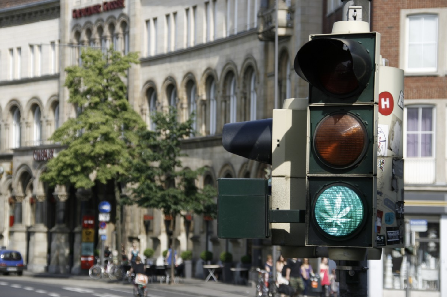Cannabis leaf on a red, orange, and yellow stop light.
