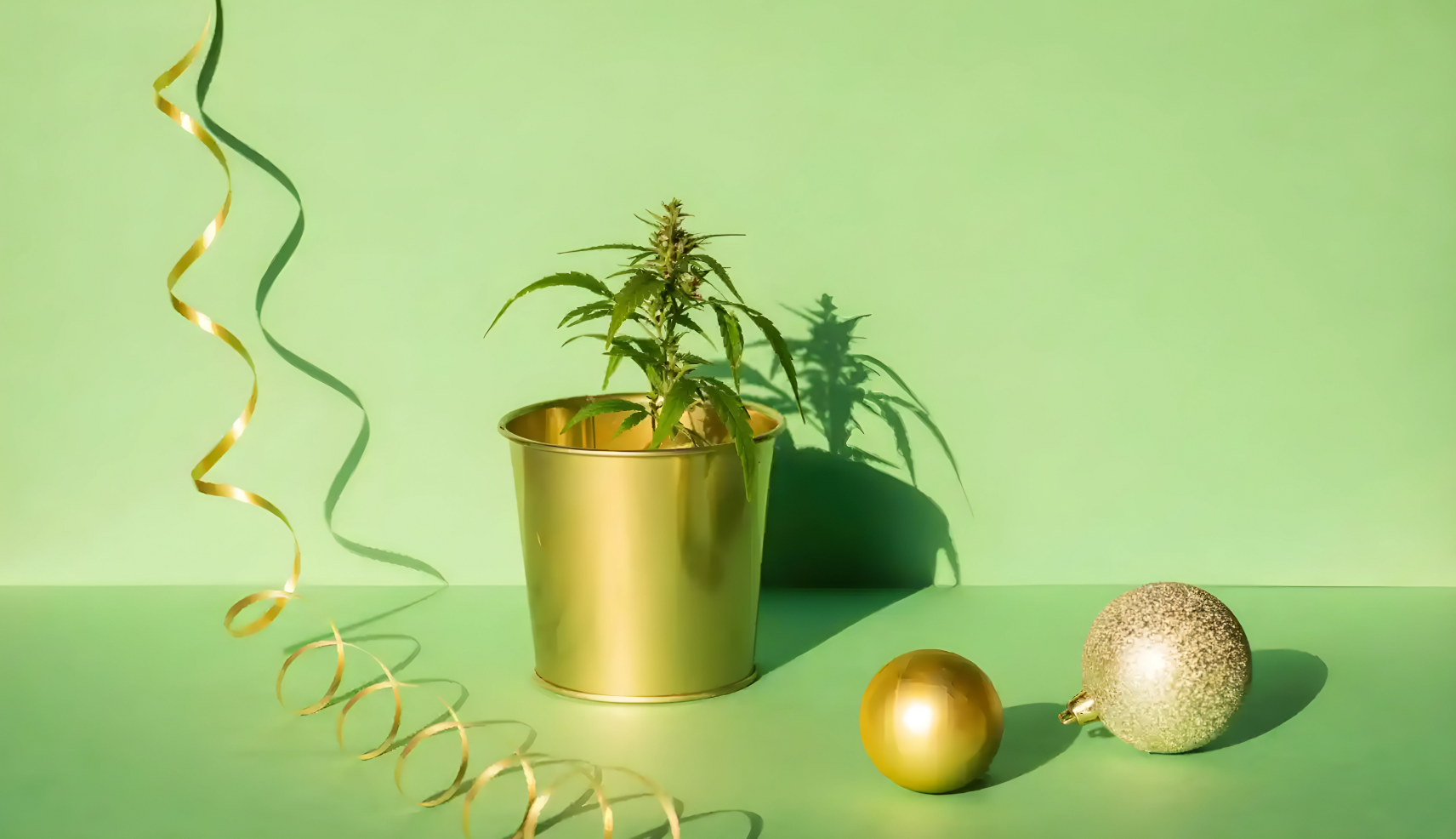 A modern still life image featuring a potted cannabis plant in a shiny gold container, positioned on a plain surface with a pastel green background. To the right of the pot, there's a gold and a glittery Christmas ornament. A curly gold ribbon lies in the foreground, creating a festive atmosphere.