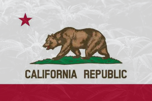 New Year Brings Employment Protections for California Cannabis Users