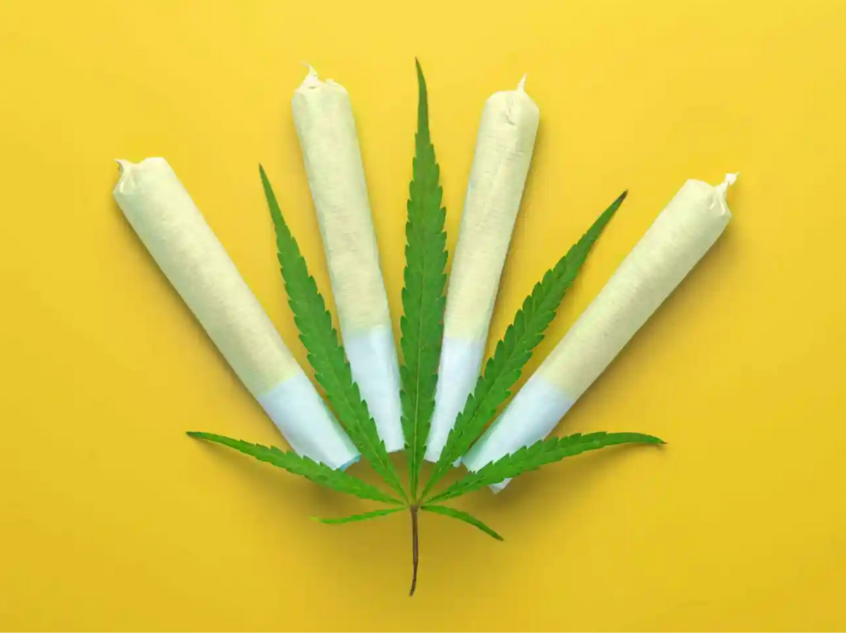 A cannabis leaf and prerolls representing High Times' article titled '2024 U.S. Cannabis Sales Projected To Exceed $31 Billion'
