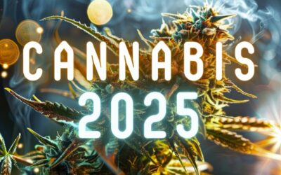 Cannabis in 2025: The Trends Shaping the Future of the Industry